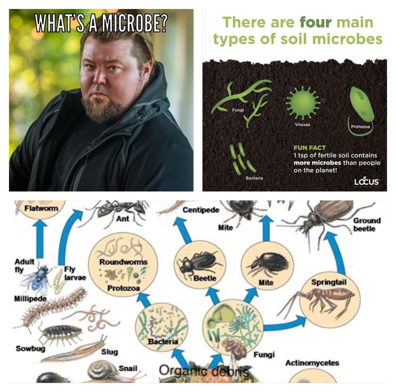 The meme is a humorous image of a person with a puzzled expression, accompanied by the text "What is a microbe?" at the top. The image is paired with a caption that says "It's a tiny living thing, duh." The meme is likely poking fun at the idea that the question "What is a microbe?" is so obvious that it's almost laughable.